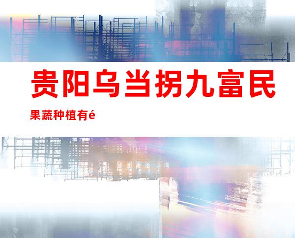 贵阳乌当拐九富民果蔬种植有限公司