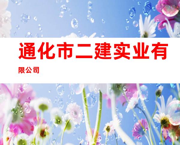通化市二建实业有限公司