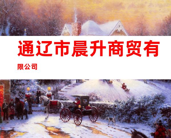 通辽市晨升商贸有限公司