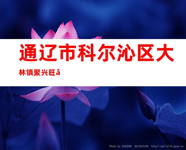 通辽市科尔沁区大林镇聚兴旺小麦种植专业合作社