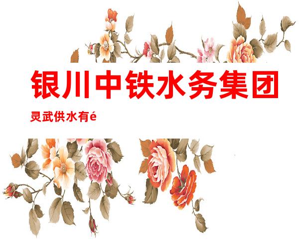 银川中铁水务集团灵武供水有限公司