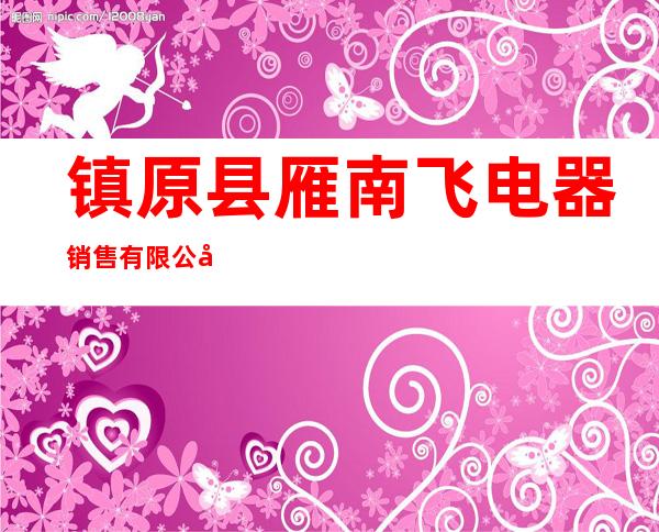 镇原县雁南飞电器销售有限公司