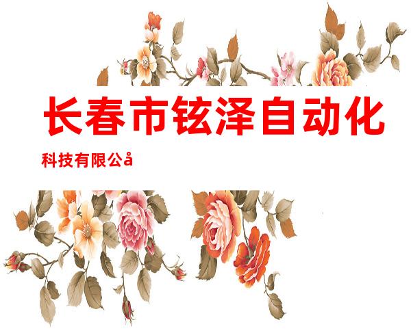 长春市铉泽自动化科技有限公司