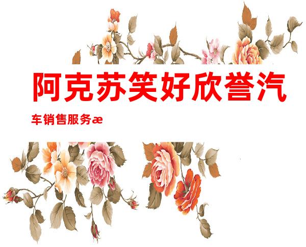 阿克苏笑好欣誉汽车销售服务有限公司