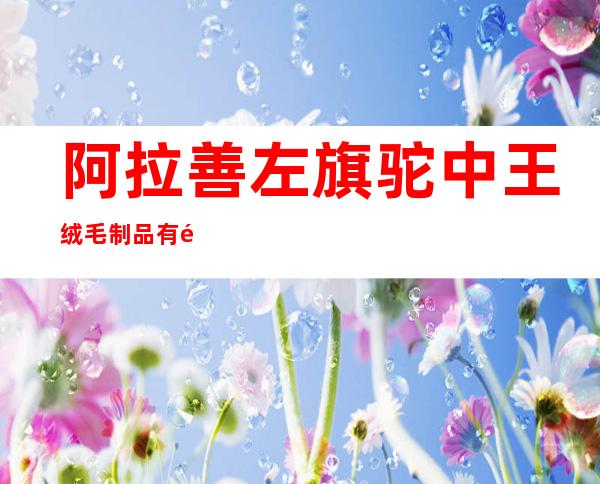 阿拉善左旗驼中王绒毛制品有限责任公司