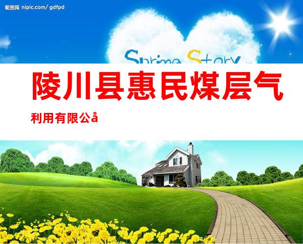 陵川县惠民煤层气利用有限公司