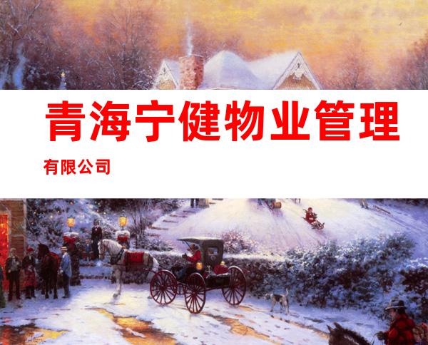 青海宁健物业管理有限公司