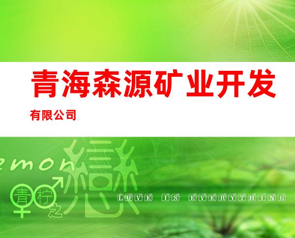 青海森源矿业开发有限公司