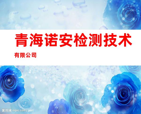 青海诺安检测技术有限公司