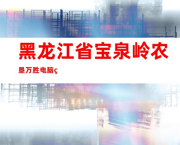 黑龙江省宝泉岭农垦万胜电脑科技有限公司